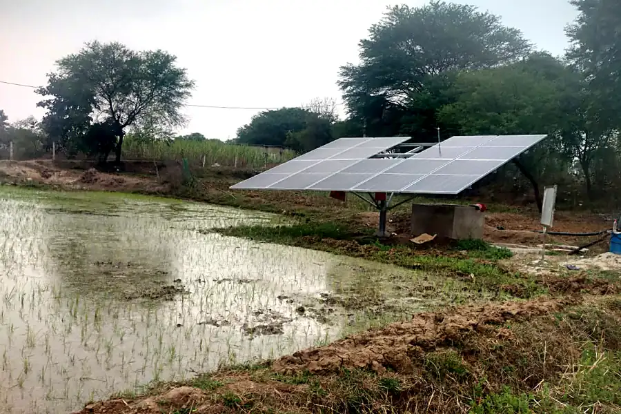 Solar pump panels installed beside a paddy field pond